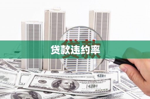 新河贷款违约率
