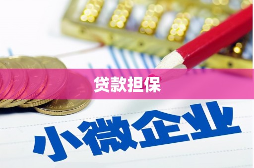 海原贷款担保