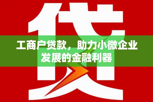 西和工商户贷款,助力小微企业发展的金融利器 西和工商户贷款,助力小微企业发展的金融利器