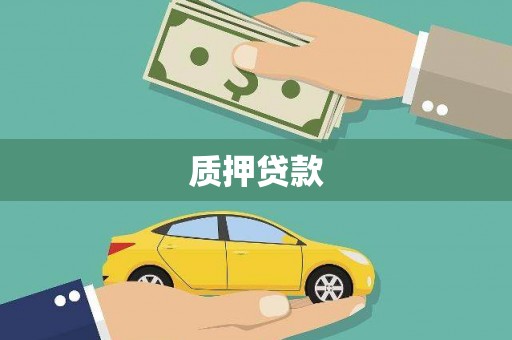 乐东质押贷款
