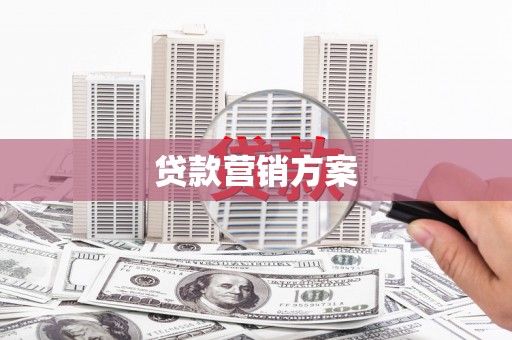 叶县贷款营销方案