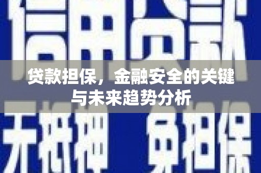 鹿城贷款担保，金融安全的关键与未来趋势分析