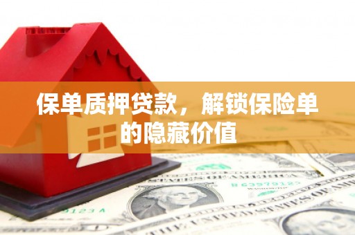 云龙保单质押贷款，解锁保险单的隐藏价值