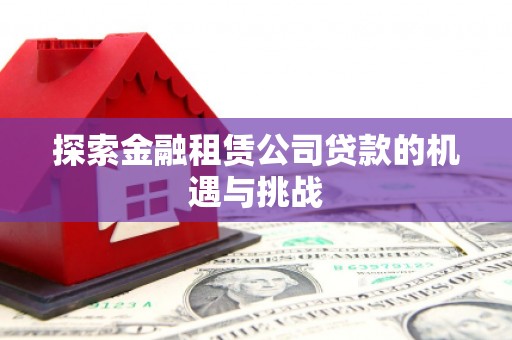 王益探索金融租赁公司贷款的机遇与挑战