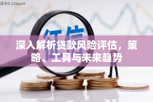 武隆深入解析贷款风险评估，策略、工具与未来趋势