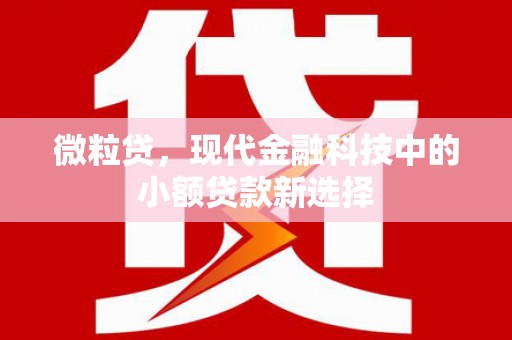 五桂山微粒贷，现代金融科技中的小额贷款新选择