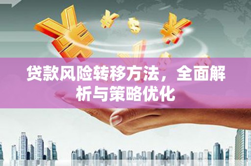 零陵贷款风险转移方法，全面解析与策略优化