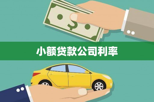 凤县小额贷款公司利率