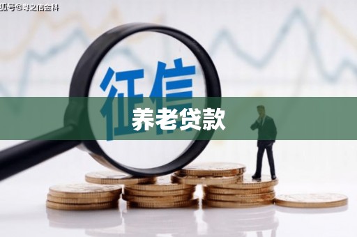 金东养老贷款