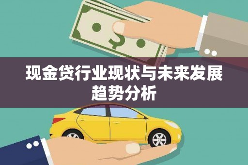 沈河现金贷行业现状与未来发展趋势分析