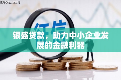 镇康银盛贷款，助力中小企业发展的金融利器