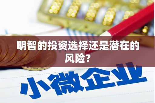 秀洲明智的投资选择还是潜在的风险？