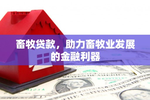 恒春畜牧贷款，助力畜牧业发展的金融利器