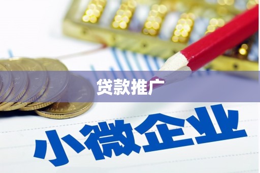 西和贷款推广