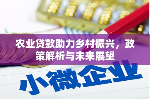 丰顺农业贷款助力乡村振兴，政策解析与未来展望