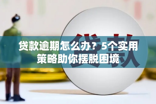田林贷款逾期怎么办？5个实用策略助你摆脱困境
