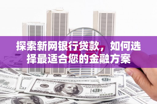 丽水探索新网银行贷款，如何选择最适合您的金融方案