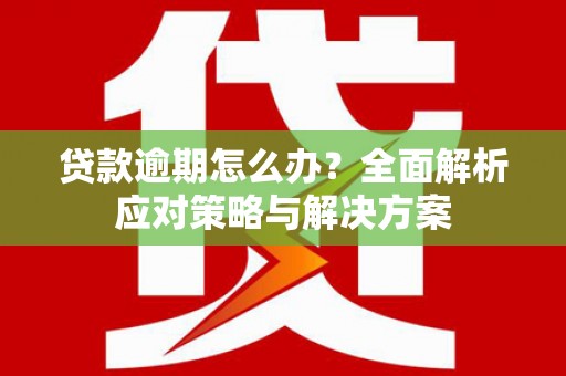 阿莲贷款逾期怎么办？全面解析应对策略与解决方案