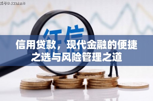 卓尼信用贷款，现代金融的便捷之选与风险管理之道