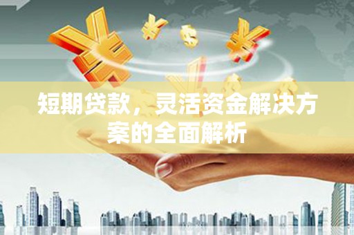 曲麻莱短期贷款，灵活资金解决方案的全面解析