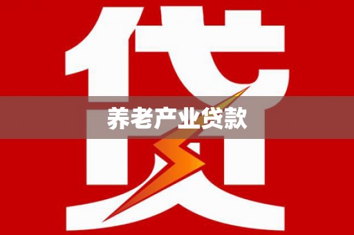 桃江养老产业贷款