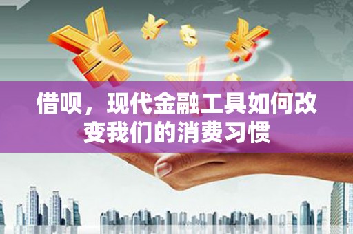 玉树借呗，现代金融工具如何改变我们的消费习惯
