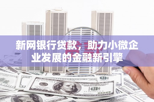 稻城新网银行贷款，助力小微企业发展的金融新引擎