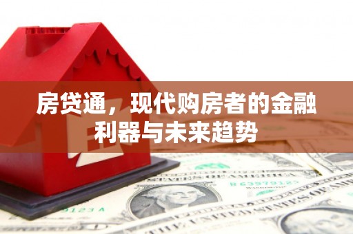 冷水江房贷通，现代购房者的金融利器与未来趋势