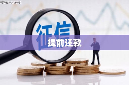 邵阳提前还款