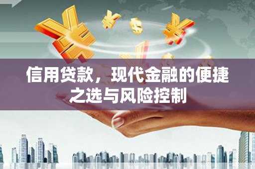 造桥信用贷款，现代金融的便捷之选与风险控制