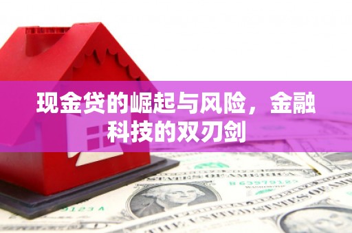 滁州现金贷的崛起与风险，金融科技的双刃剑