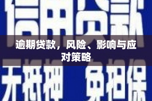 西市逾期贷款，风险、影响与应对策略