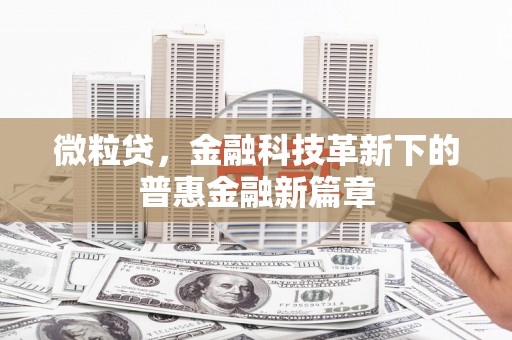 长寿微粒贷，金融科技革新下的普惠金融新篇章