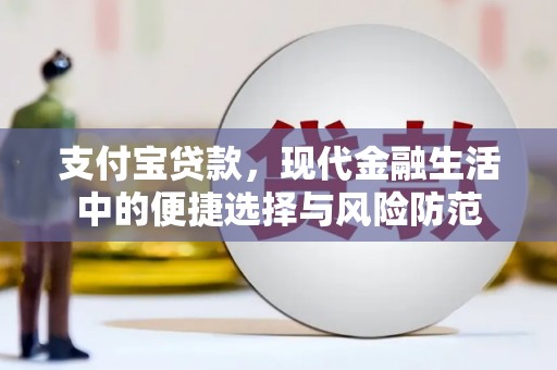 合作支付宝贷款，现代金融生活中的便捷选择与风险防范