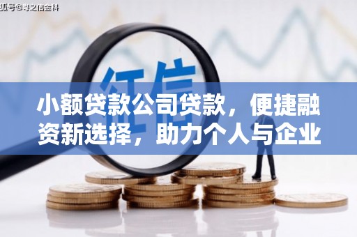 阜康小额贷款公司贷款，便捷融资新选择，助力个人与企业成长