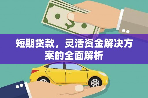 庆元短期贷款，灵活资金解决方案的全面解析
