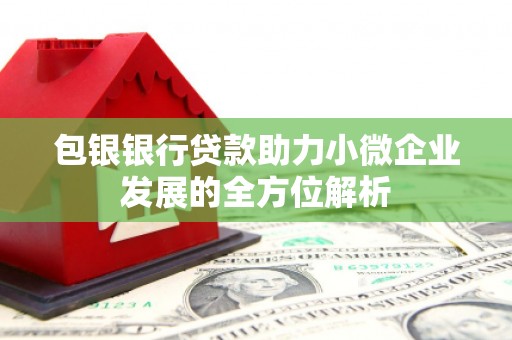 灵武包银银行贷款助力小微企业发展的全方位解析
