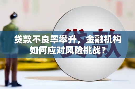 伊犁贷款不良率攀升，金融机构如何应对风险挑战？