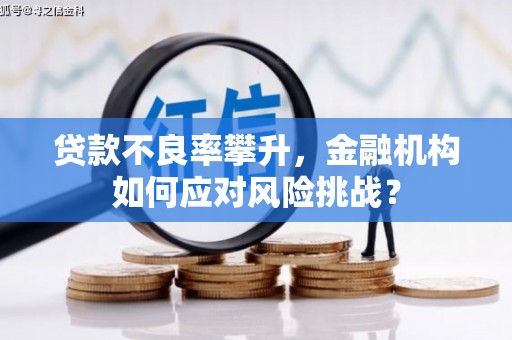 乐昌贷款不良率攀升，金融机构如何应对风险挑战？