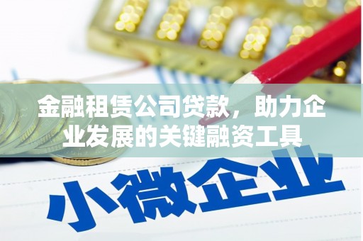 苏尼特右旗金融租赁公司贷款，助力企业发展的关键融资工具