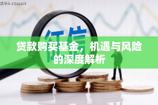临潭贷款购买基金，机遇与风险的深度解析