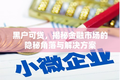 大庆黑户可贷，揭秘金融市场的隐秘角落与解决方案