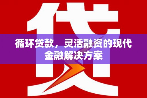 孝南循环贷款，灵活融资的现代金融解决方案