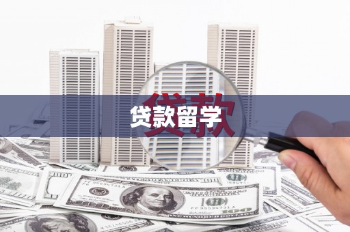 聂荣贷款留学