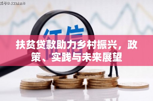 金塘扶贫贷款助力乡村振兴，政策、实践与未来展望