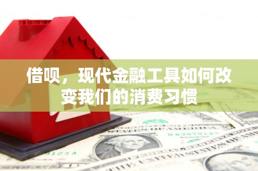 永济借呗，现代金融工具如何改变我们的消费习惯