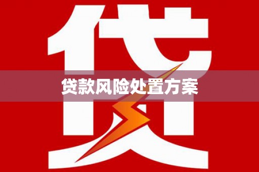 武汉贷款风险处置方案