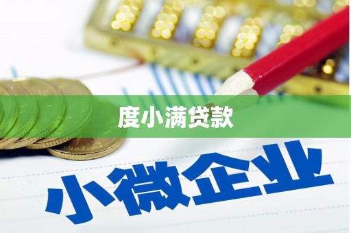 安国度小满贷款