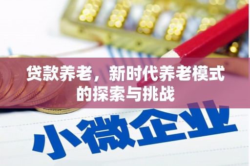馆陶贷款养老，新时代养老模式的探索与挑战