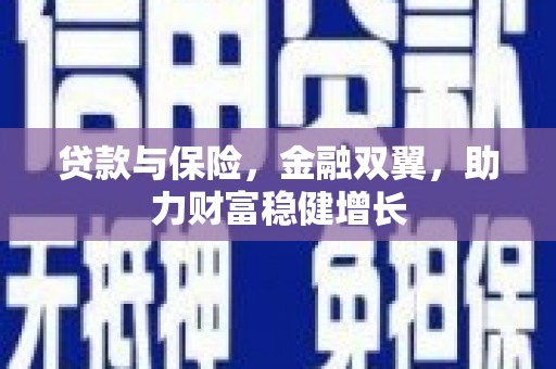 嵊州贷款与保险，金融双翼，助力财富稳健增长
